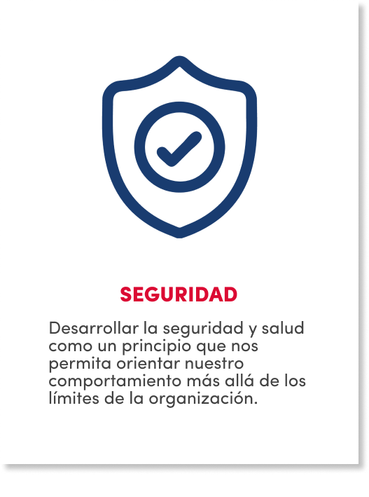 seguridad-s